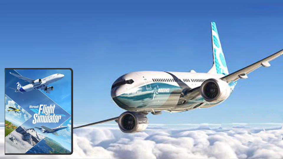Planes Flight Sim Outsourcing