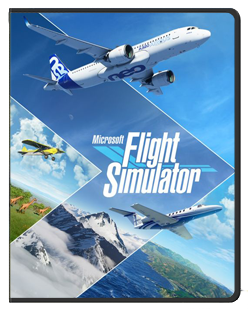 Flight Simulator